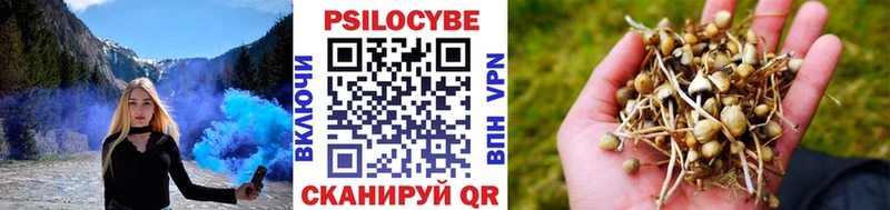 мега ссылка  где купить наркоту  Безенчук  Псилоцибиновые грибы MAGIC MUSHROOMS 